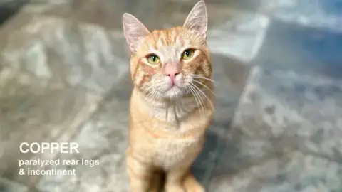 Copper