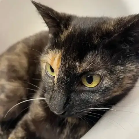 Lucille photo 3