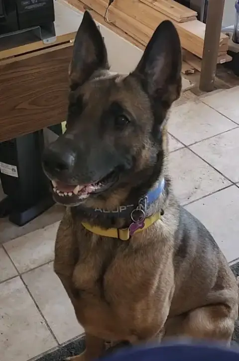 Jack Aka Jack O' Lantern