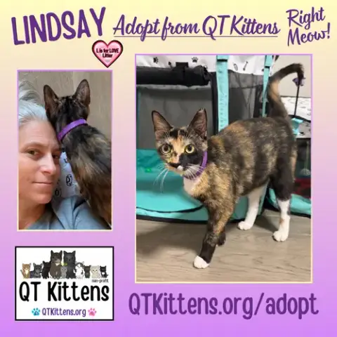 Lindsay photo 2