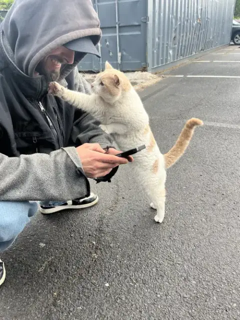 Chester photo 2