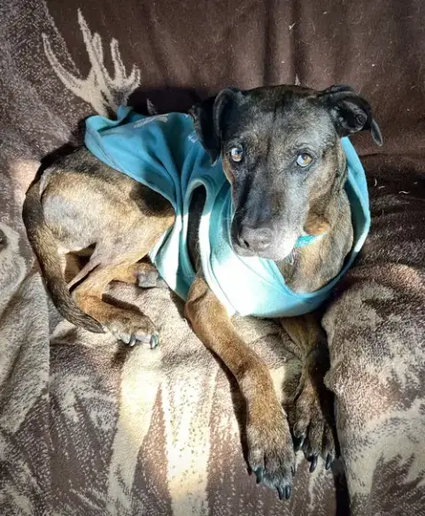 Polly photo 2
