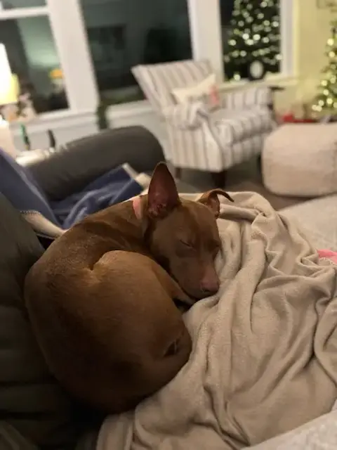Ruby photo 2