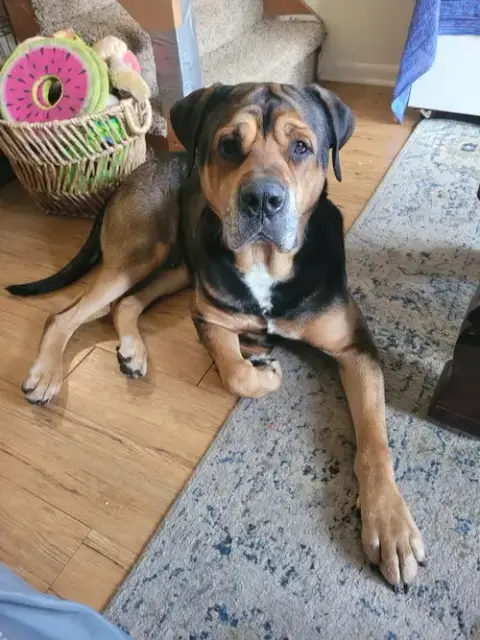 Zeus