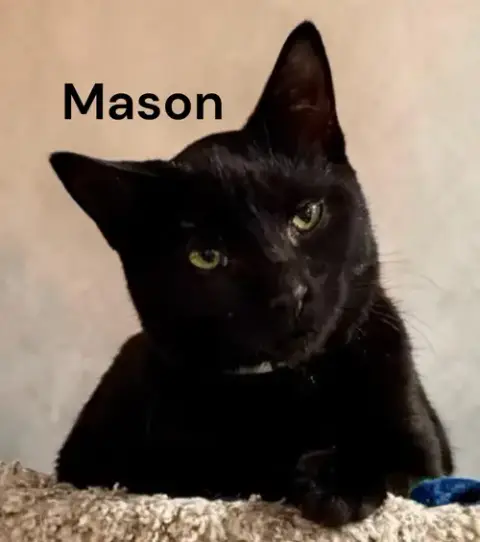 Mason photo 2