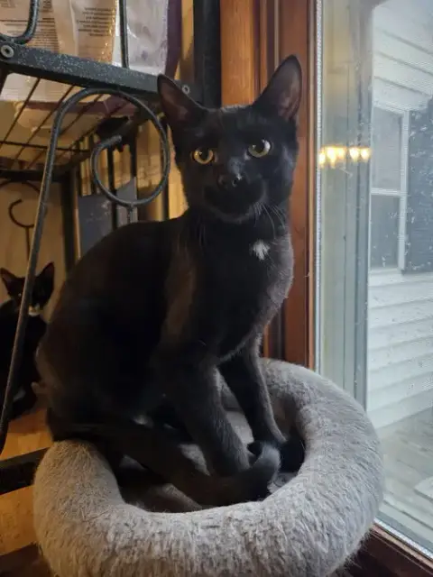Danny