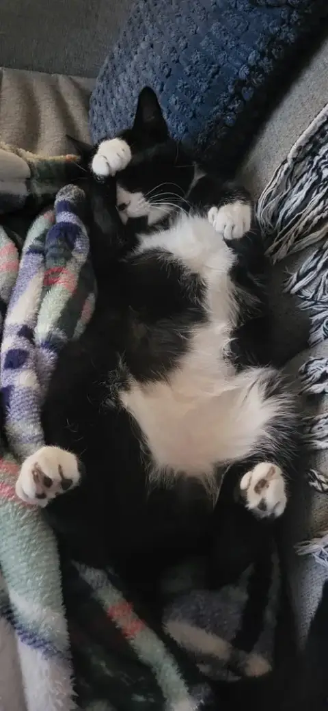 Tiny Tim photo 4