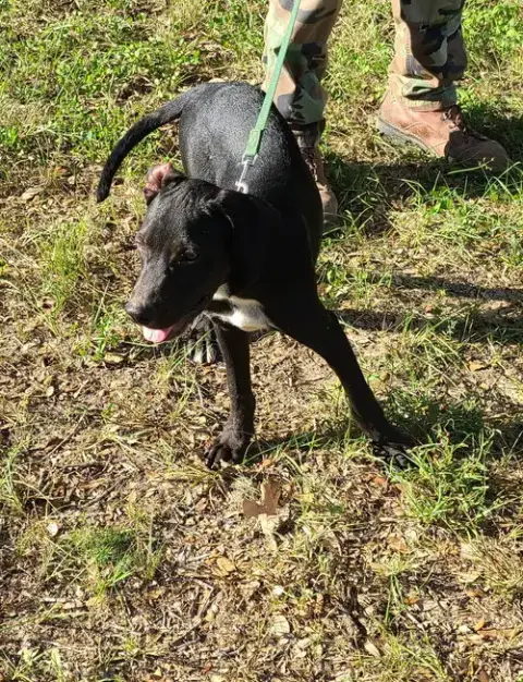 Gavin photo 4