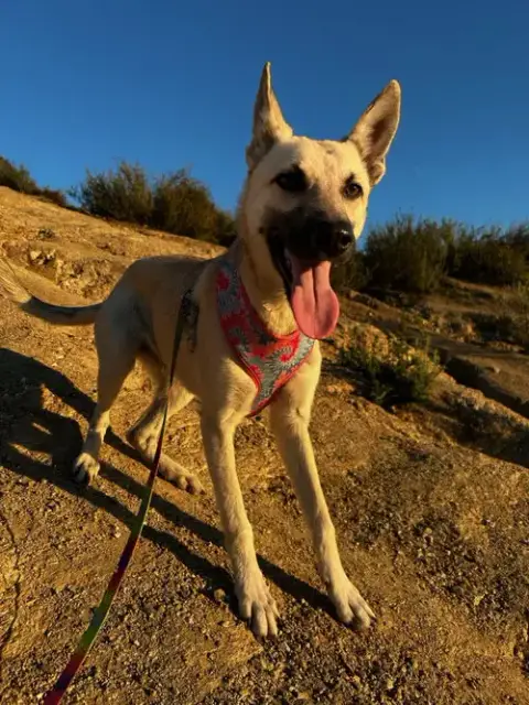 Ella photo 4