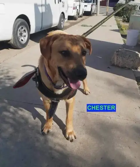 Chester