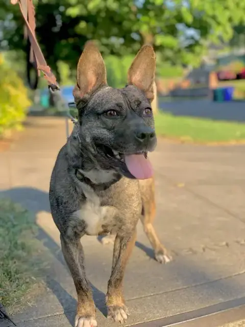 Heidi photo 2
