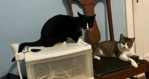 Charlie And Farrah photo 3