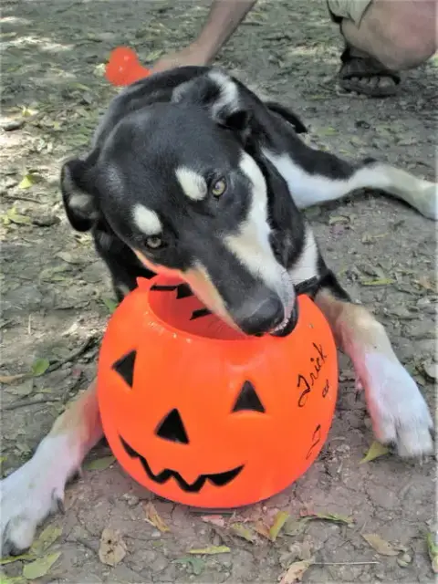 Gracey photo 5