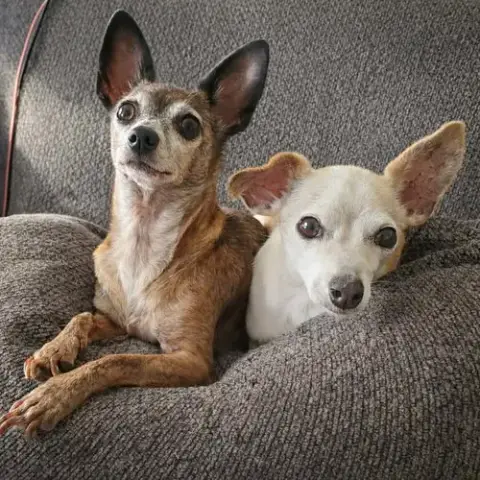 Beatrix And Remy