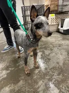 Leroy photo 4