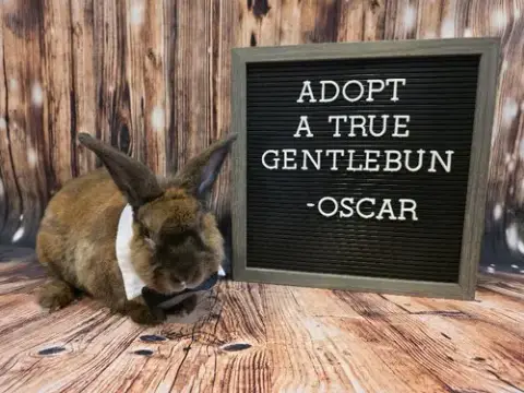 Oscar
