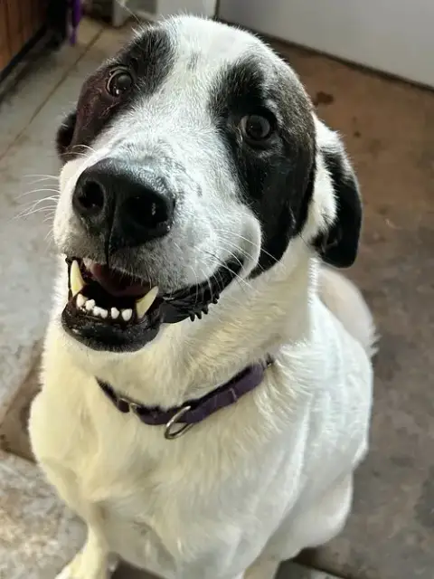 Max photo 2