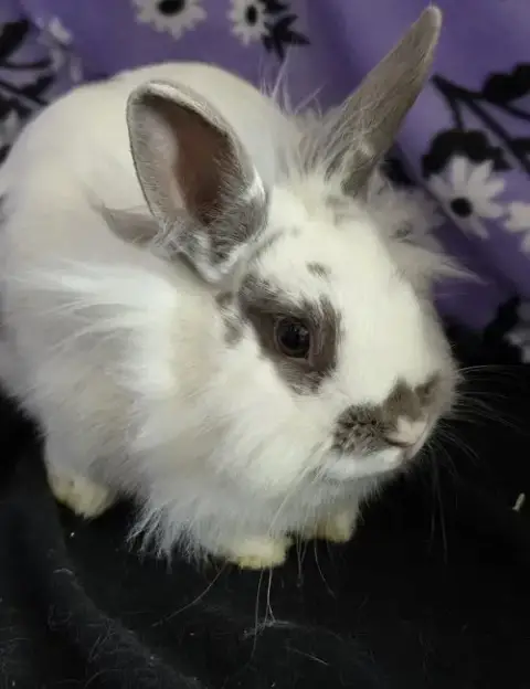 Evie photo 4