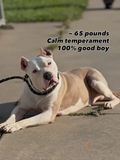 Cain Athens photo 3