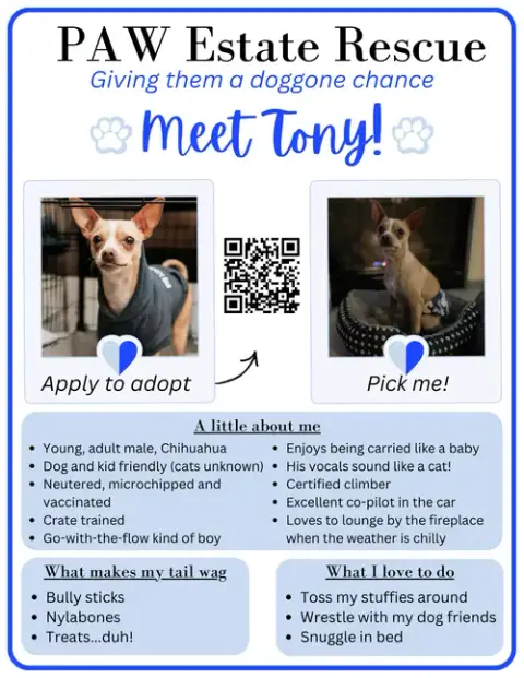 Tony photo 5