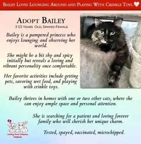 Bailey photo 2