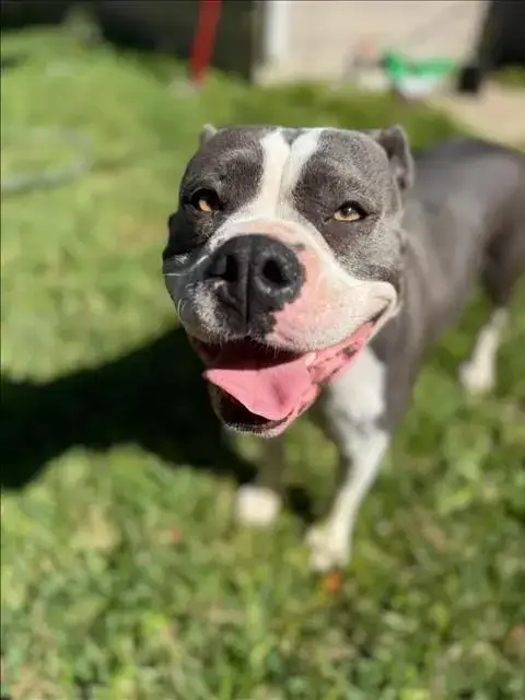 Luna