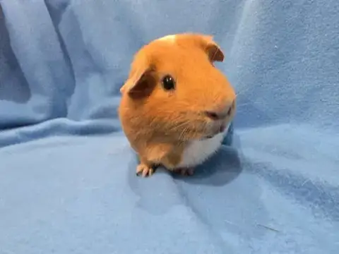 Tot & Tater