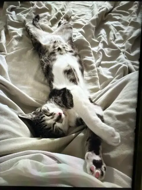 Luna Lu photo 5