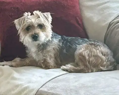 Annie photo 5
