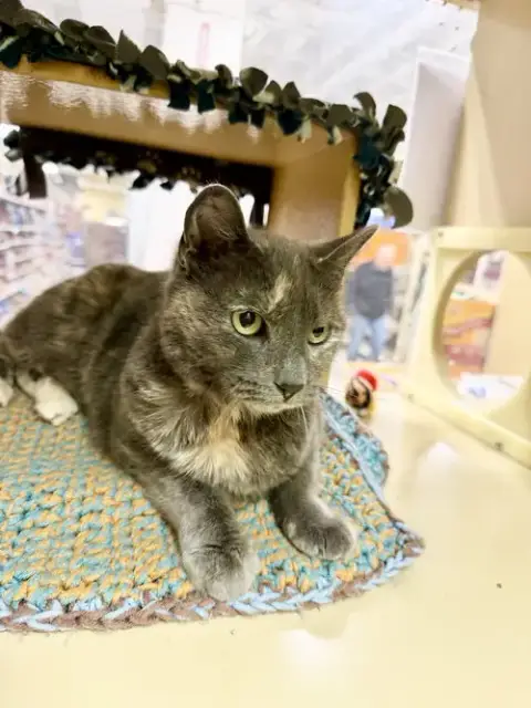 Lulu photo 2