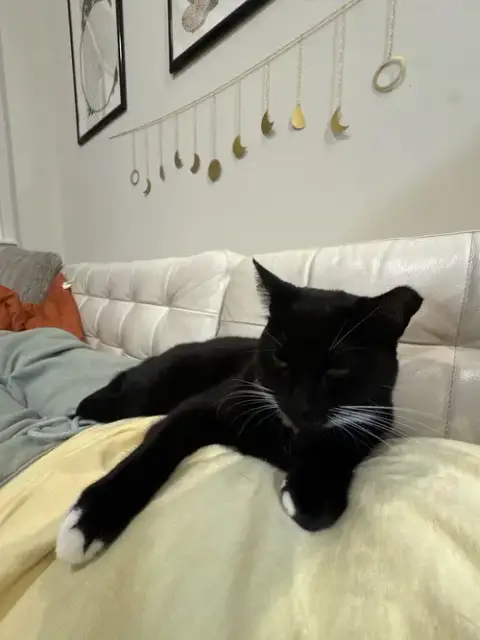Rhea photo 4