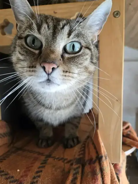 Linus photo 2