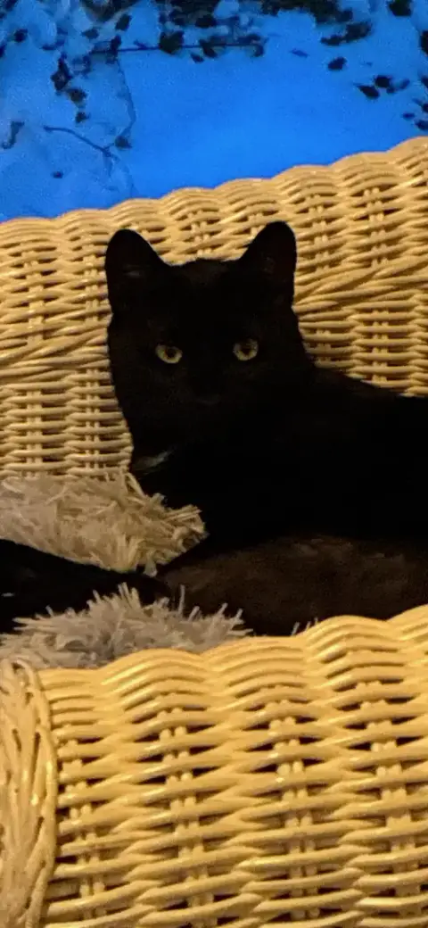 Coal