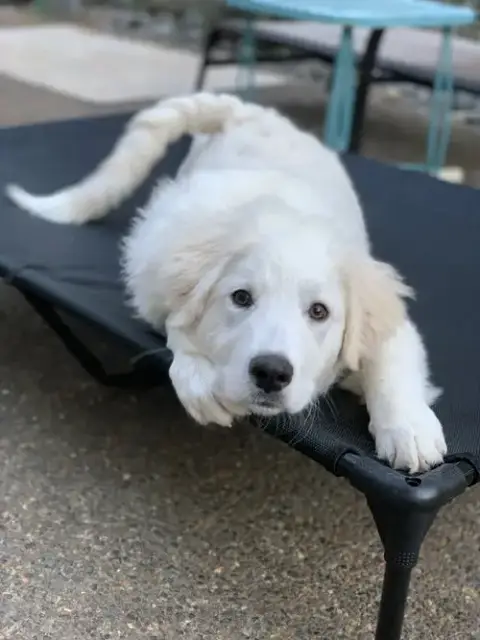 Mitch photo 5