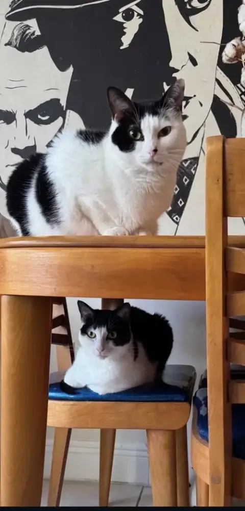 Courtesy Post: Frauncess & Kussa Sisters