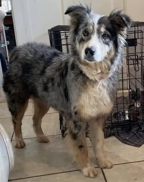 Blooper: Not At Shelter