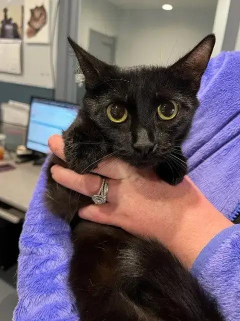 Ginny *In Foster*