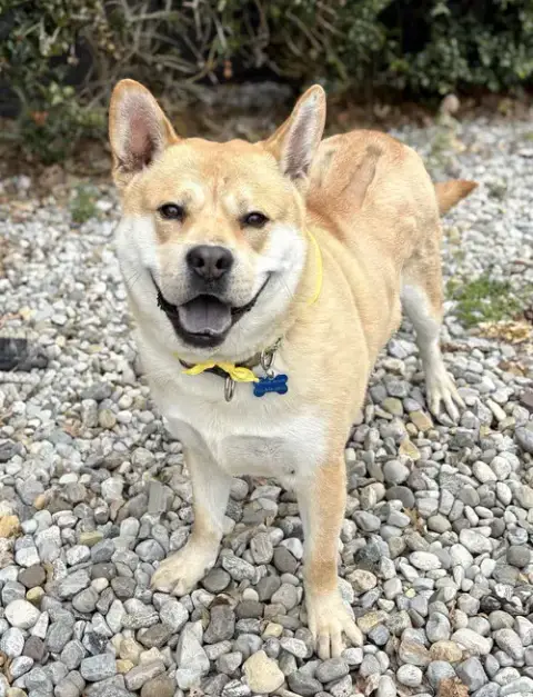 Milo