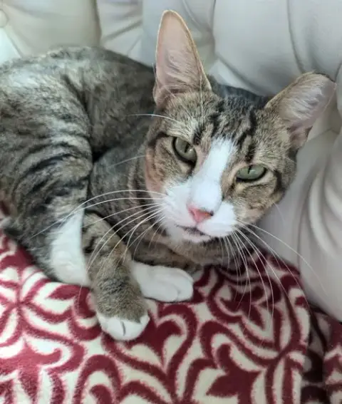 Connie photo 3