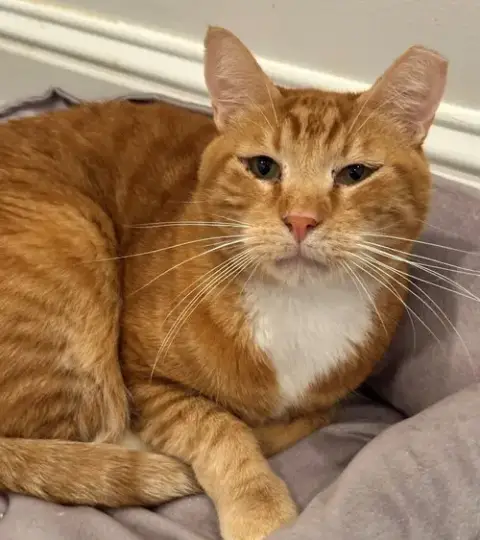 Rusty
