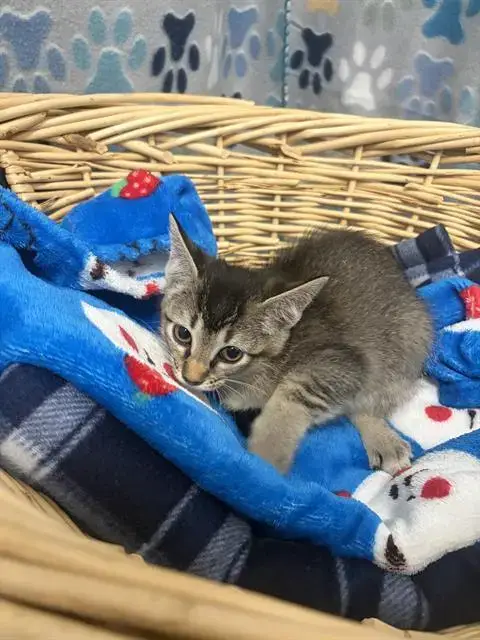 Minnie