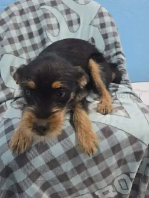 Sabrina