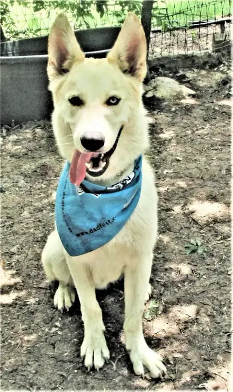 Luka photo 2