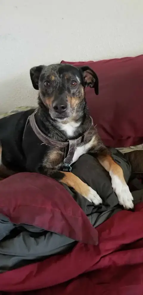 Max