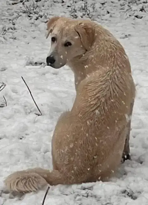 Riley photo 4