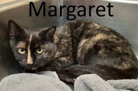 Margaret photo 2