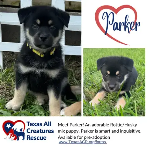 Parker photo 2