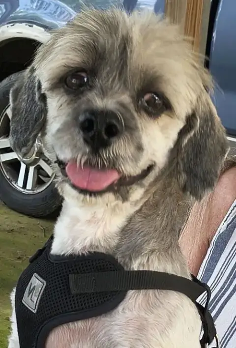 Tucker