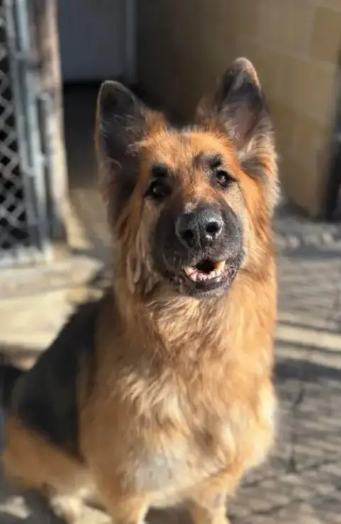 Sammy
