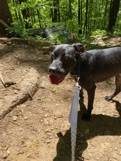 Benny photo 3
